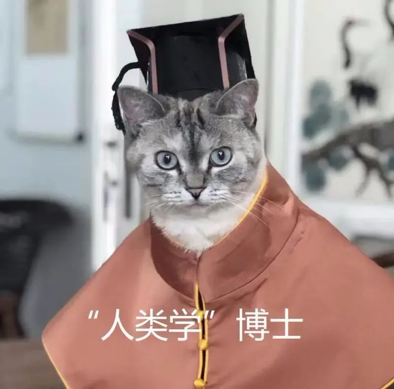 中央美院“學(xué)士服”美上熱搜！網(wǎng)友：這是什么神仙設(shè)計(jì)？