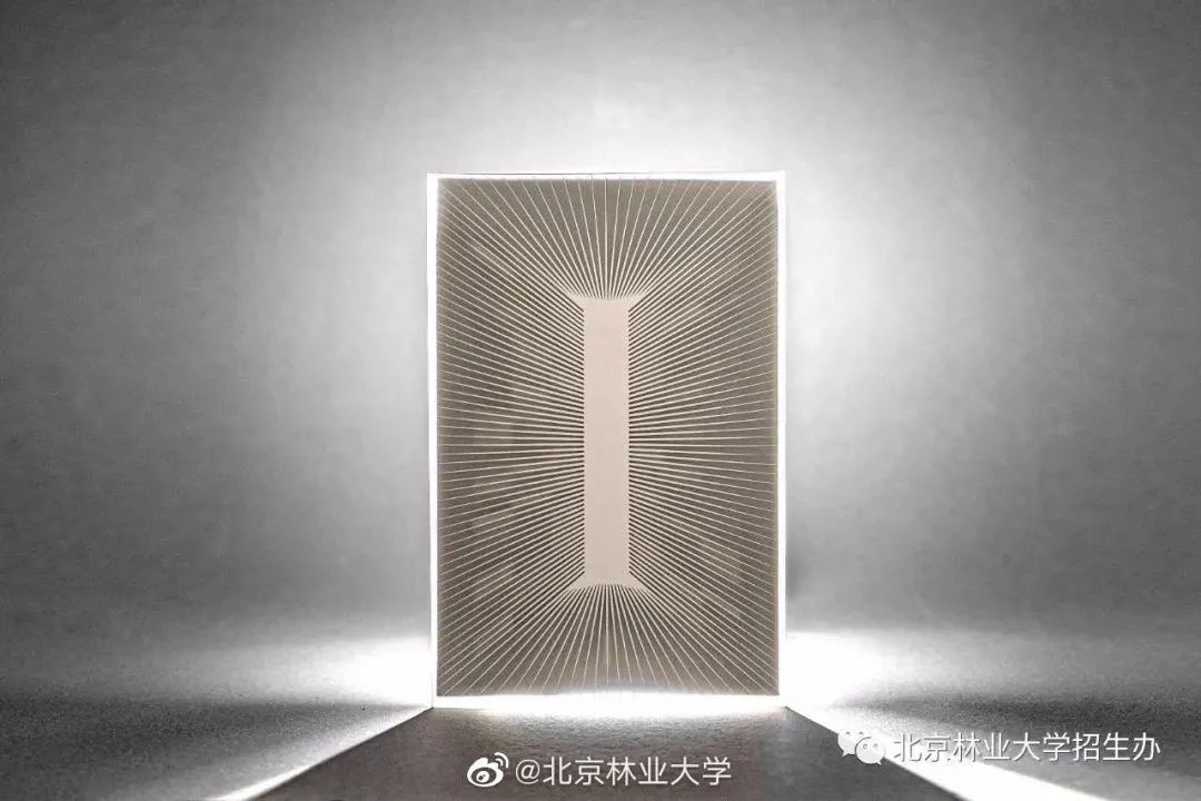 2020錄取通知書(shū)設(shè)計(jì)，最騷的大學(xué)竟然是...