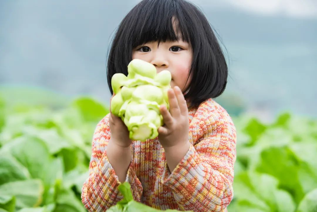 中國(guó)國(guó)家地理為《烏江》拍紀(jì)錄片，探索一包榨菜的前世今生