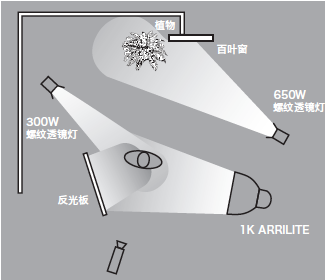 11種基礎(chǔ)打光方法，讓我們?cè)诖蚬獾牡缆飞献叩母鼒?jiān)實(shí)！