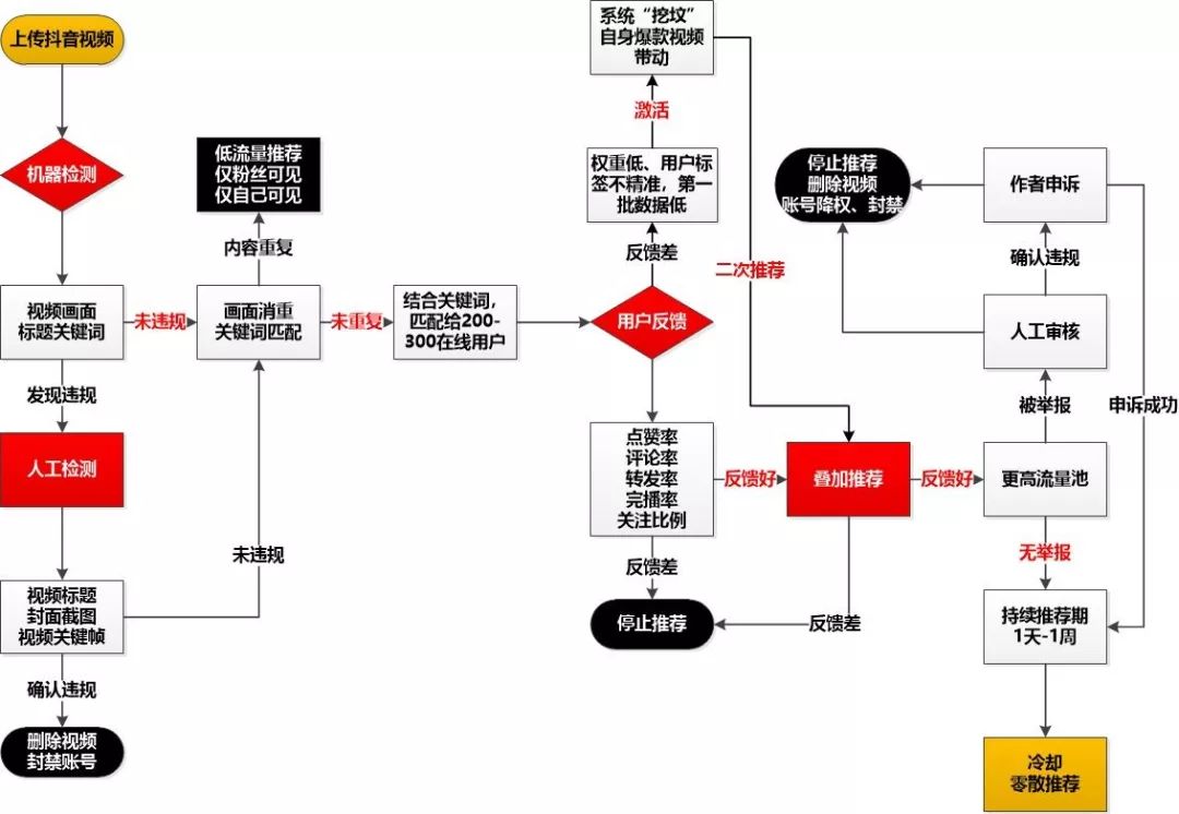 鳥哥筆記,新媒體運(yùn)營,松露,冷啟動,短視頻