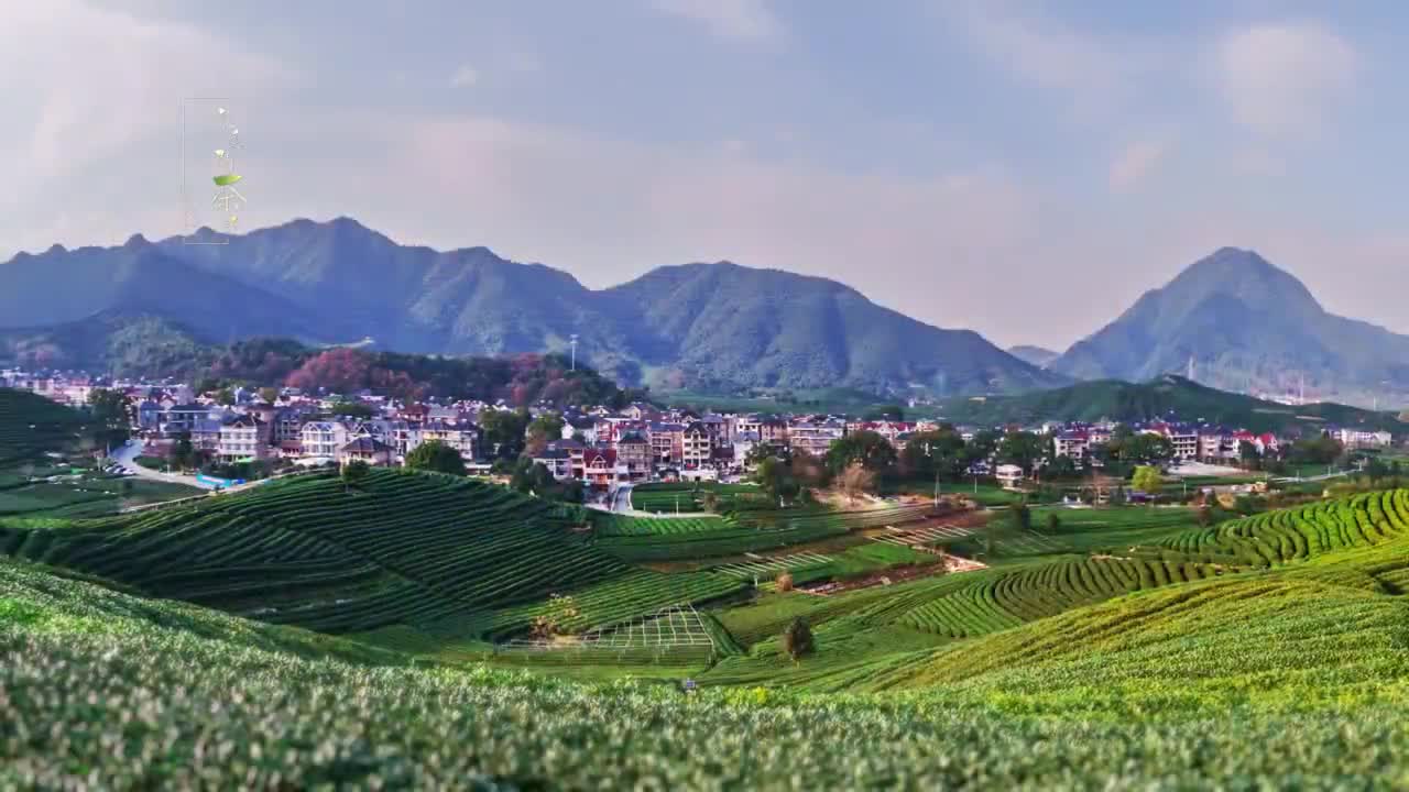 龍塢創(chuàng)意宣傳片《龍塢問茶詩》