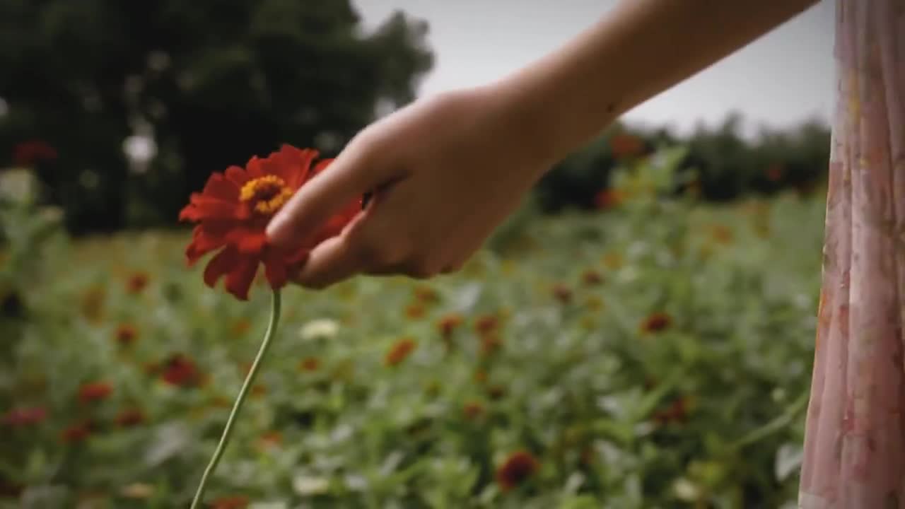 華麗家族太上湖房產(chǎn)廣告片