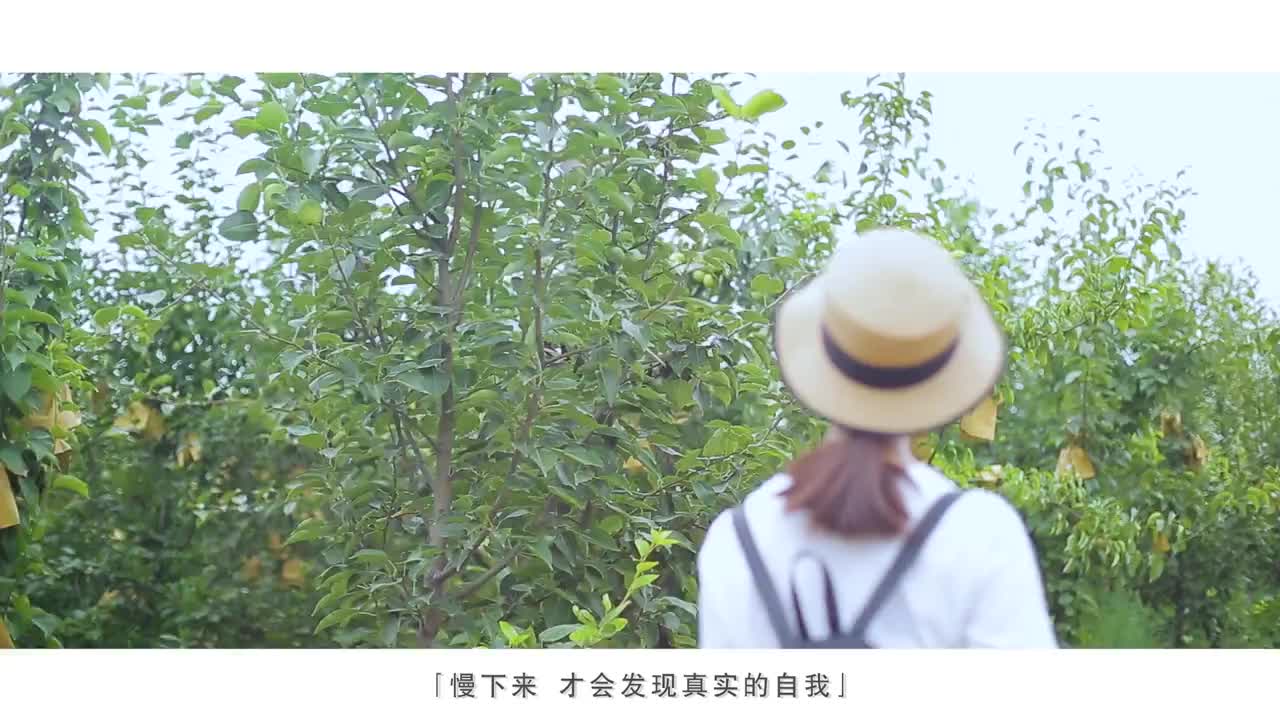 封丘城市宣傳片《時(shí)光在左，你在右》