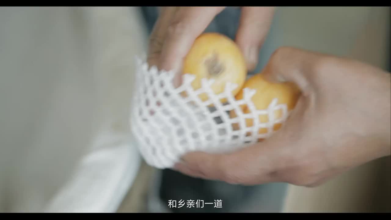 成都迦南映像-京東仁壽第三屆網(wǎng)上枇杷節(jié)