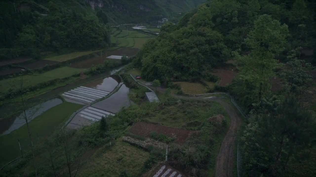 戶外野餐紀錄片《春雨中的蝦仔炒蛋》